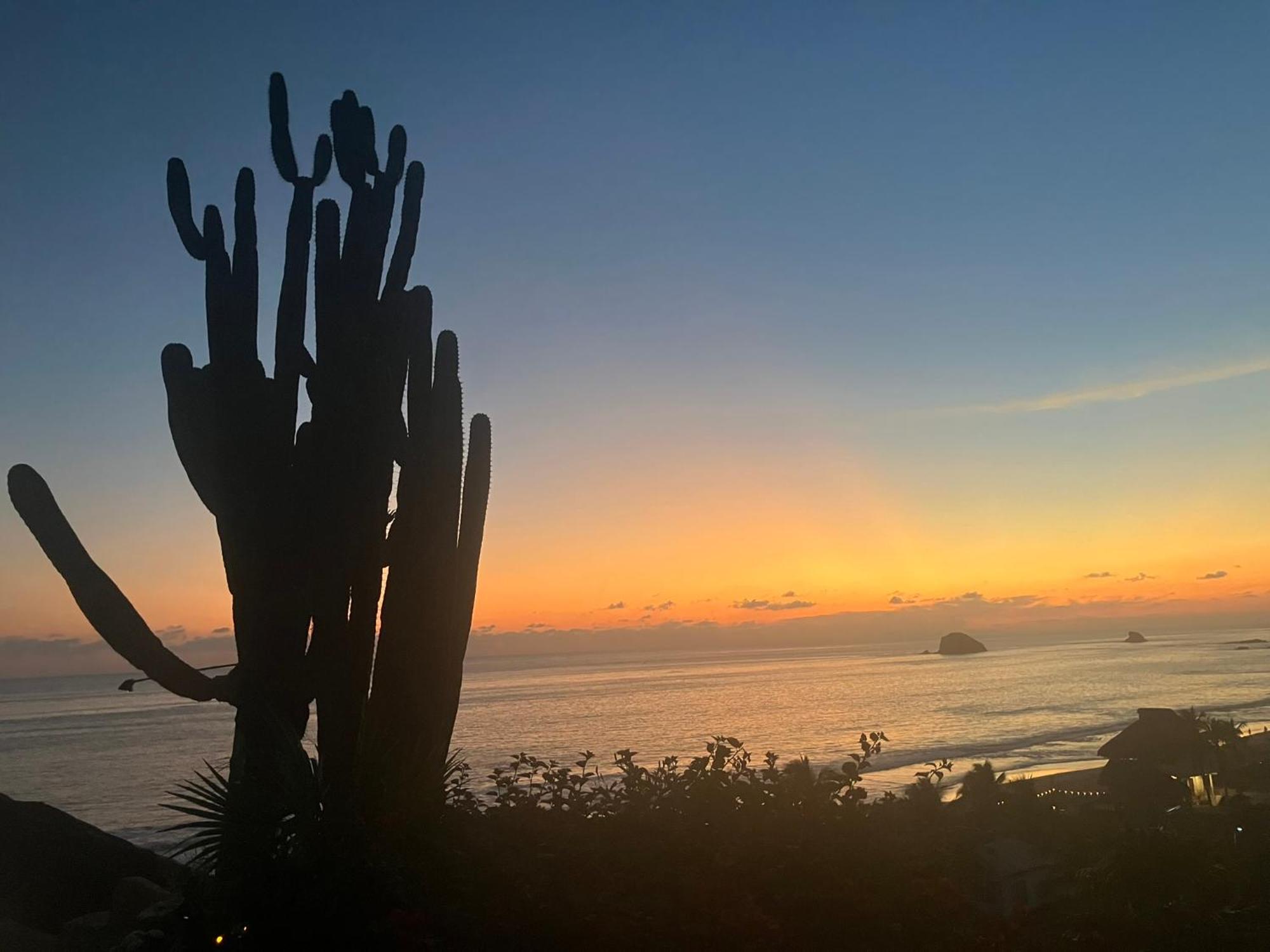 La Loma Linda, Bungalows, Yoga And Feldenkrais, Starlink Internet Zipolite Exterior photo