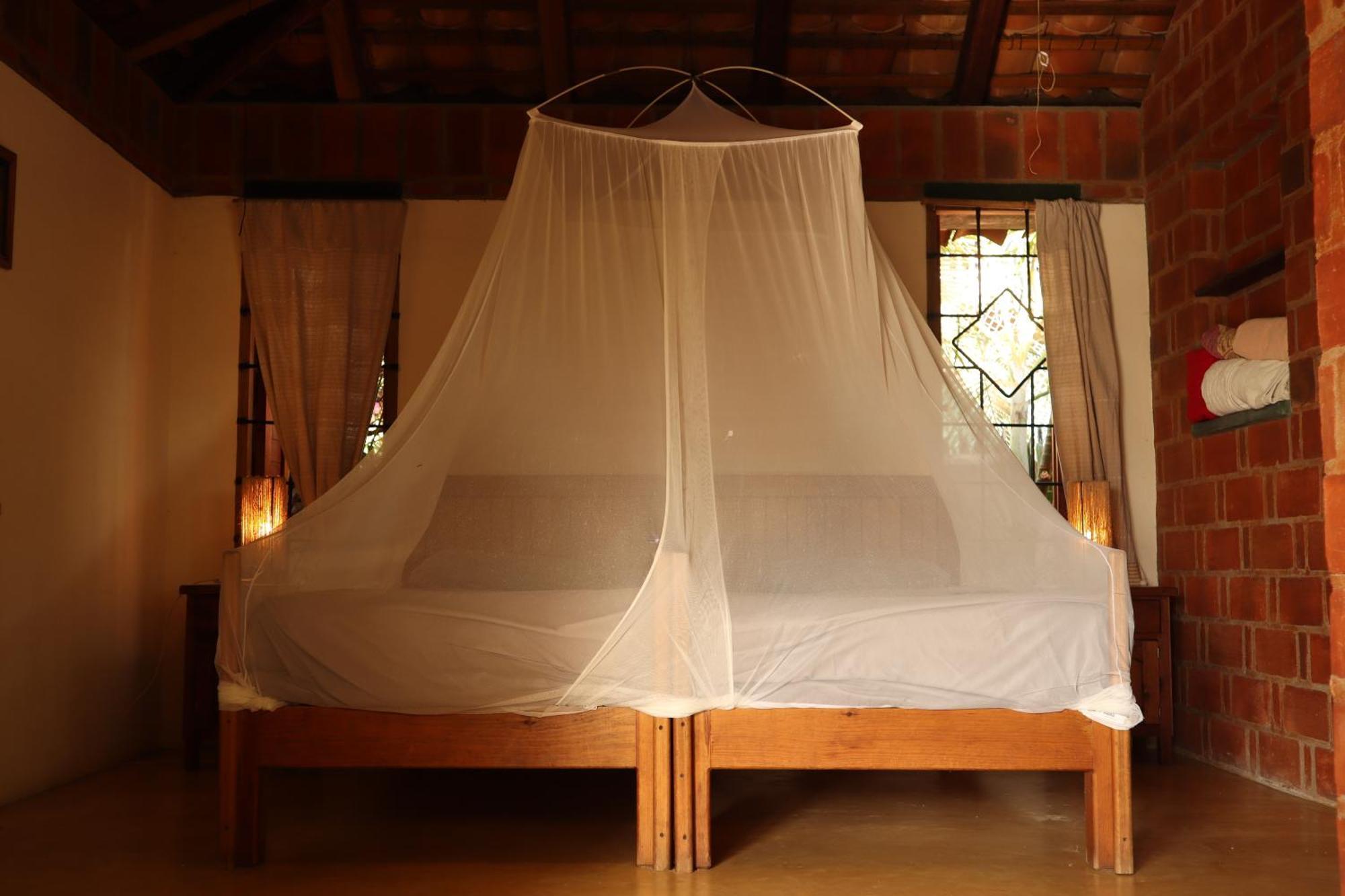 La Loma Linda, Bungalows, Yoga And Feldenkrais, Starlink Internet Zipolite Exterior photo