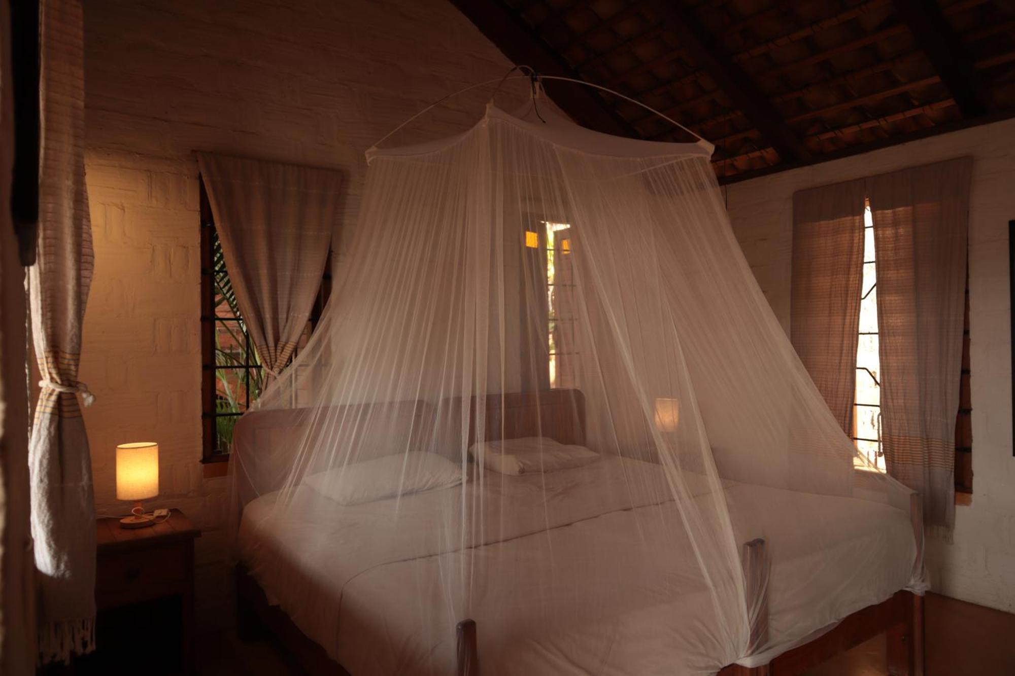 La Loma Linda, Bungalows, Yoga And Feldenkrais, Starlink Internet Zipolite Exterior photo