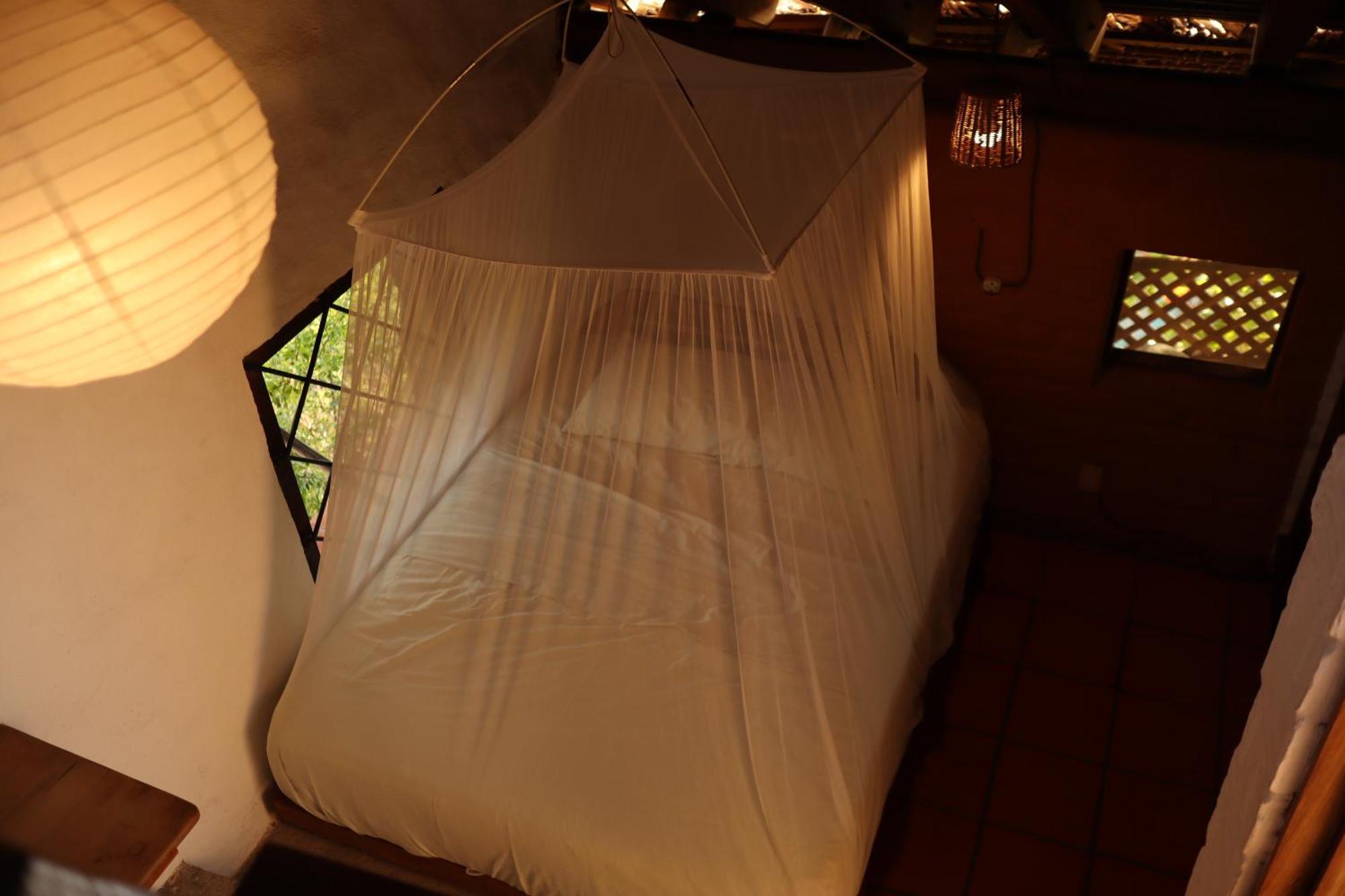 La Loma Linda, Bungalows, Yoga And Feldenkrais, Starlink Internet Zipolite Exterior photo