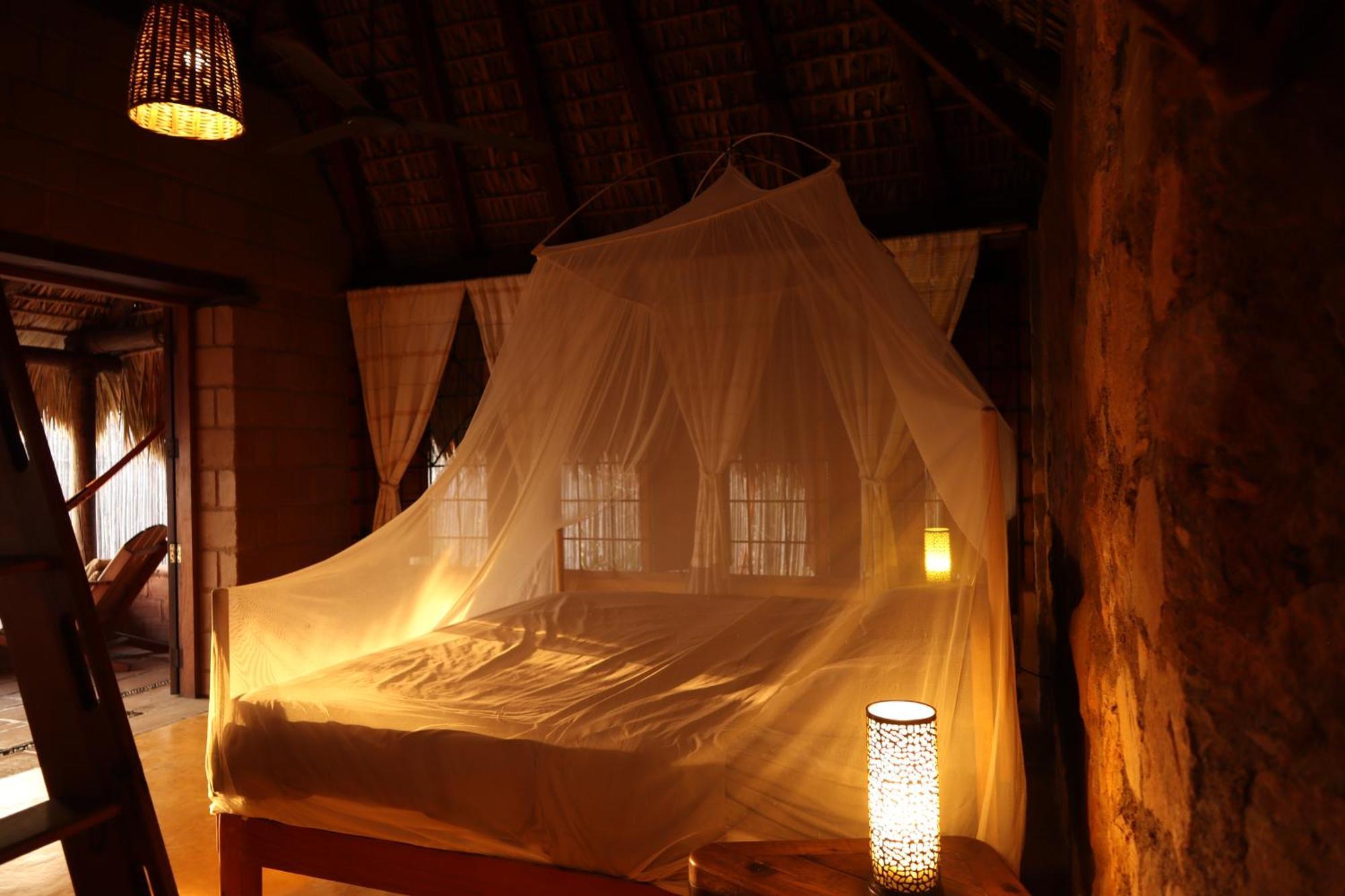 La Loma Linda, Bungalows, Yoga And Feldenkrais, Starlink Internet Zipolite Exterior photo