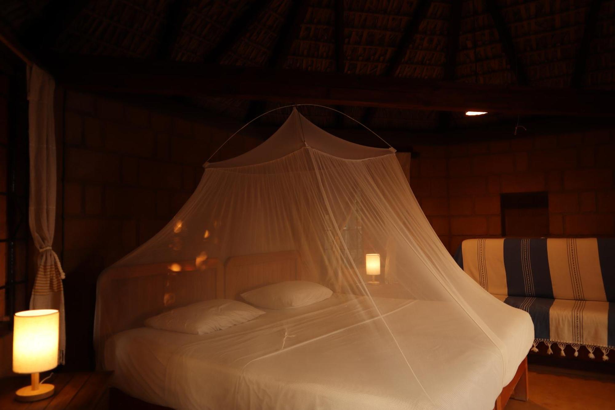 La Loma Linda, Bungalows, Yoga And Feldenkrais, Starlink Internet Zipolite Exterior photo
